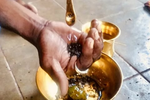 tarpana