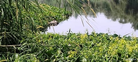 12 KKP 04 (1)