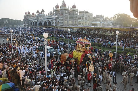 jambu savari