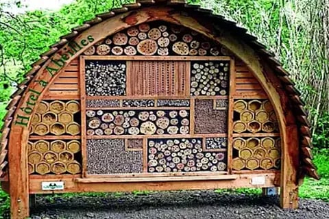 An all new café for insects in Lalbagh