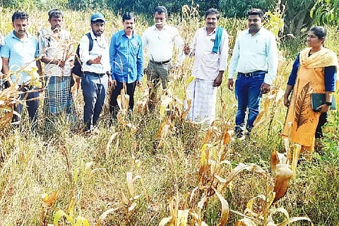 Crop damage survey