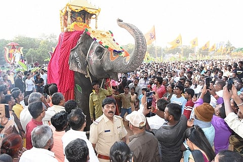 DASARA_