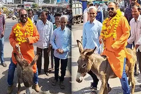 Donkey