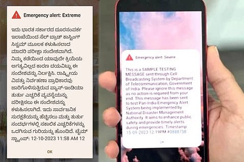 Emergency alert