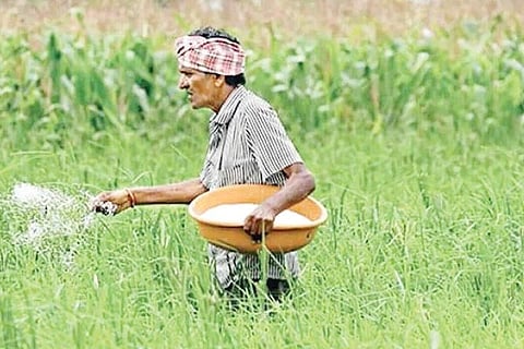 Farmer 1