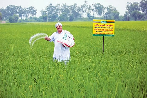 Farmer