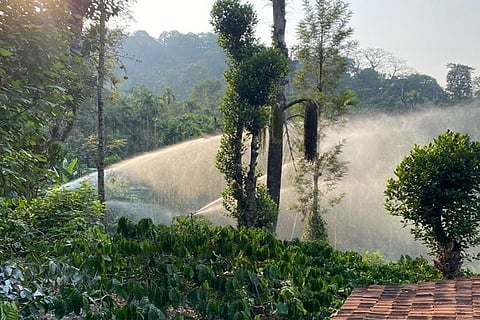 Free electricity for growers