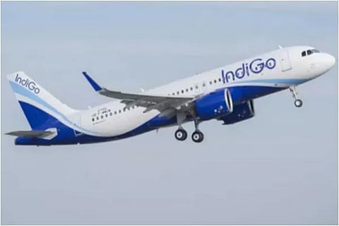 IndiGo