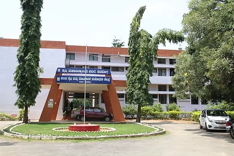Krushi v v