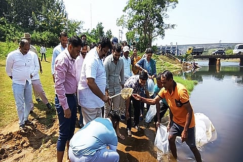 Matsalaya at Harangi