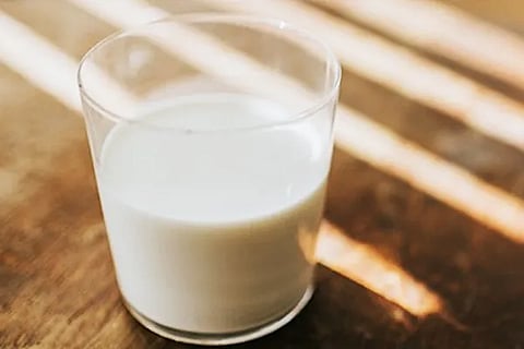 Milk