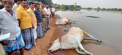 OXE DEATH IN LAKE