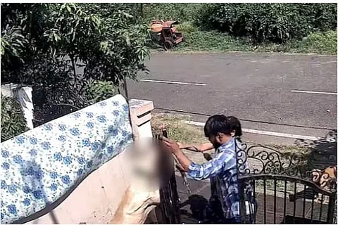 On camera trainers kill dog by hanging it from gate of training centre in Bhopal