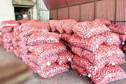 Onion