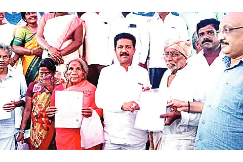 P PURA MLA 05 (2)