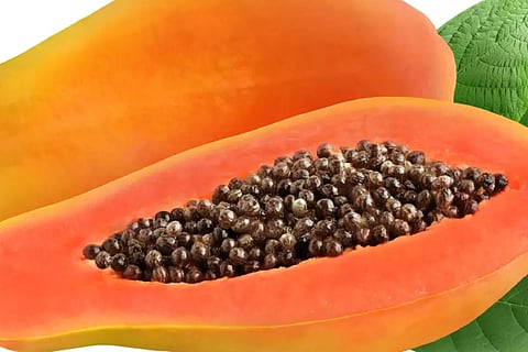 Papaya Seeds