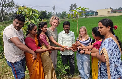 Plant a tree challenge mandya
