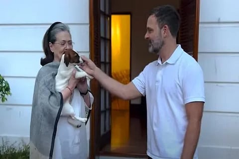 Rahul Sonia Gandhi