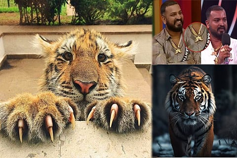 Tiger Claws
