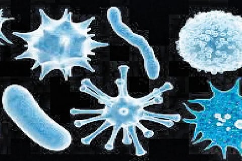 Virus (1)
