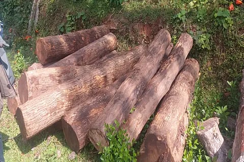 bhr wood