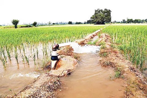 borewell