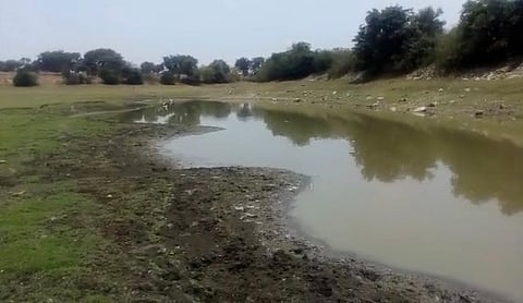 cholenahally kere 1