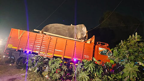Lorry driver dies