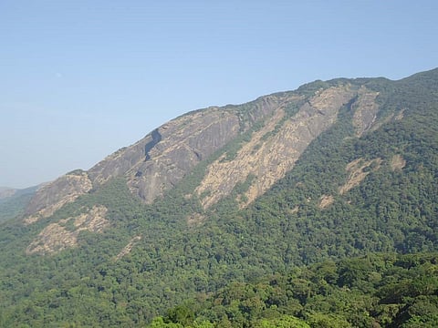 kumara
