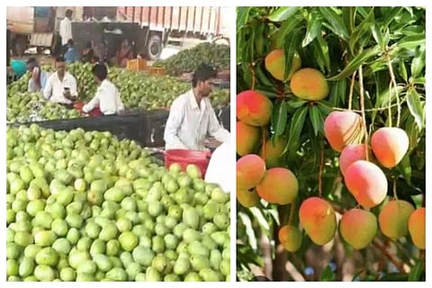 mango