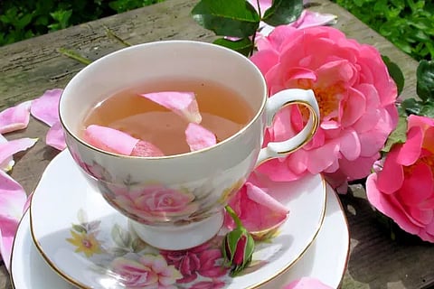 rosetea