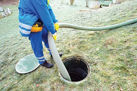 scavenging