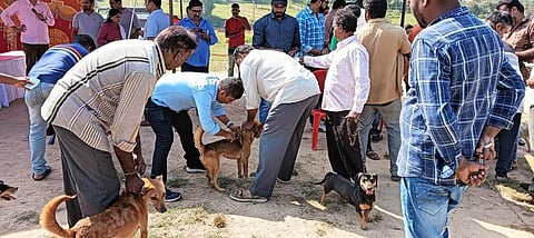 Rabies Vaccination Camp