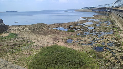 Cauvery water dispute mandya