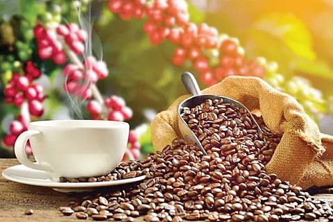 Coffee