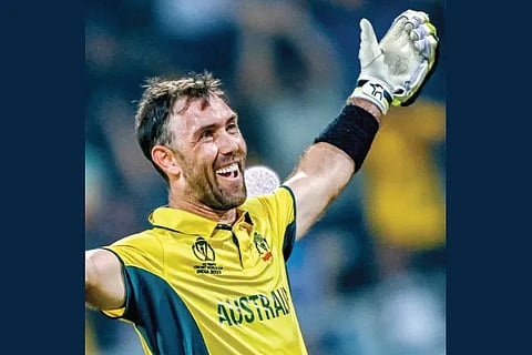 Cricket