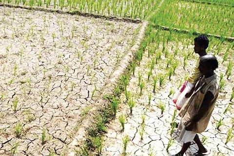 Drought