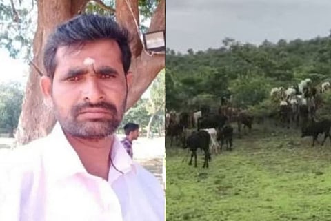 Farmer Died