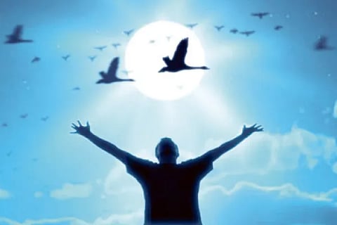 Fly high