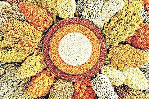 Food Grains