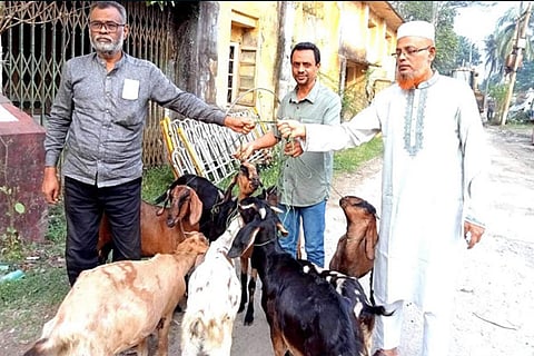 Goats Released Final