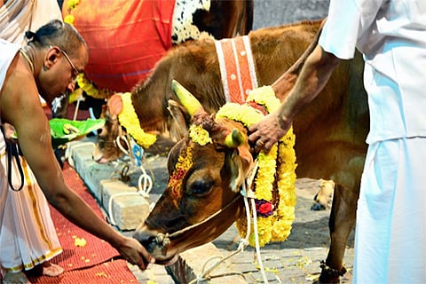 Gopooja