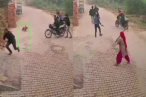 Haryana Firing