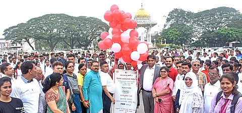 mysore
