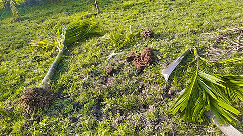 IMG-20231119-WA0097