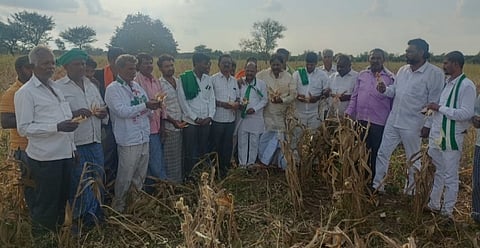 JDS Bara