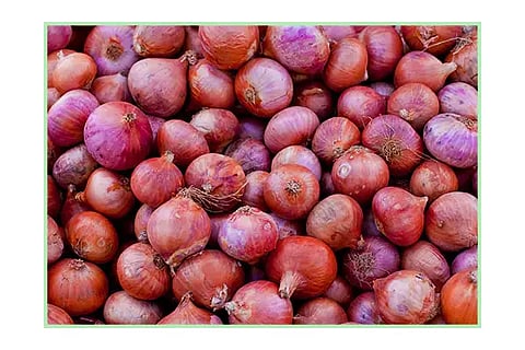 ONION NEW