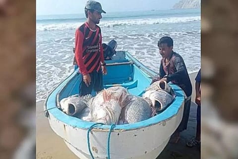 Rare Fish