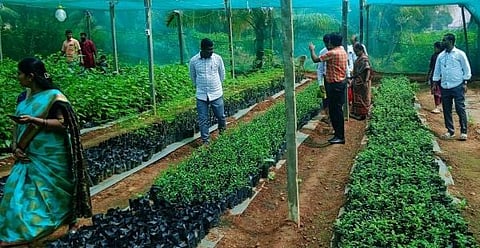Rmgm-Ph-02-Kaithota Gida Narega Sasi Veeksane TP Eo- Annahalli Vilage Nursary -2-11-2023