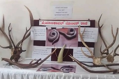 Selling Elephant